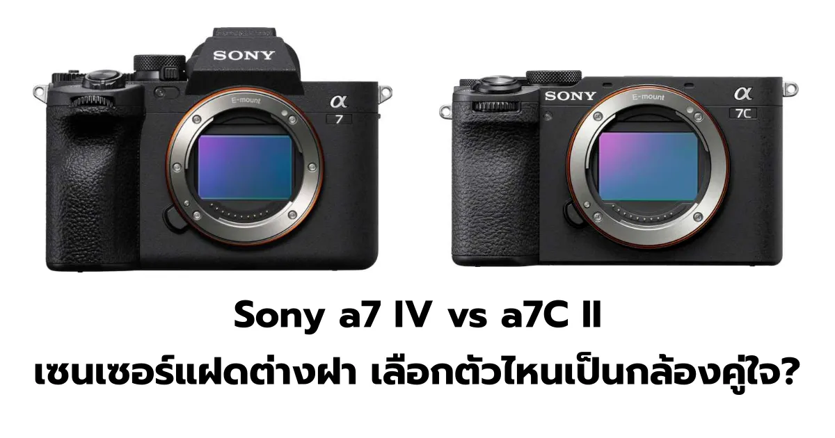 Sony a7 IV vs a7C II เซนเซอร์แฝดต่างฝา เลือกตัวไหนเป็นกล้องคู่ใจ?